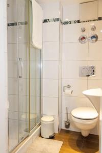 帕绍Apartment Altstadt Passau的带淋浴、卫生间和盥洗盆的浴室