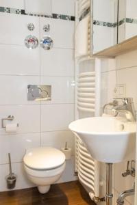 帕绍Apartment Altstadt Passau的浴室配有白色卫生间和盥洗盆。