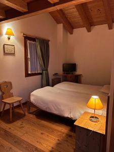 Agriturismo Busa dei Sbrase的一间卧室配有一张床和一张带台灯的桌子