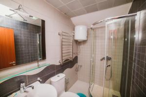 蒂瓦特Apartment DV Magnolia的带淋浴、卫生间和盥洗盆的浴室