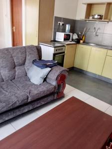 内罗毕Best suites Mvuli的客厅设有沙发,厨房设有