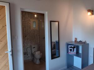 希马拉Tolis Rooms的一间带卫生间和镜子的浴室