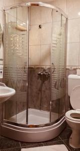 普里什蒂纳HOTEL ORA的带淋浴、卫生间和盥洗盆的浴室