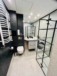 卢布林Apartment Targowa L7的一间带卫生间和水槽的浴室