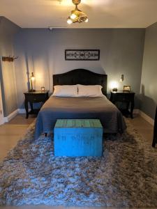 特拉弗斯城Grand Traverse Commons Condo的一间卧室配有一张蓝色地毯的大床