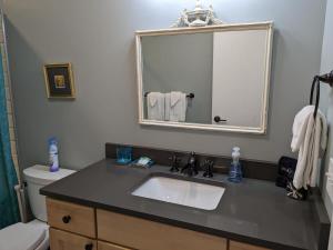 特拉弗斯城Grand Traverse Commons Condo的一间带水槽和镜子的浴室