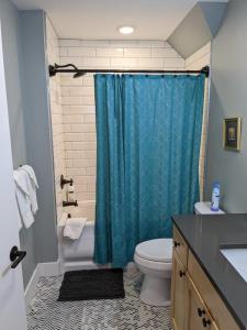 特拉弗斯城Grand Traverse Commons Condo的浴室配有蓝色的浴帘和卫生间