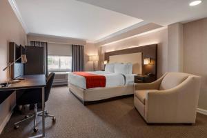 利文斯顿威斯敏斯特酒店的配有一张床和一张书桌的酒店客房