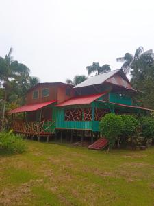 莱蒂西亚Hostal Búho Amazonas tours的一座红色绿色建筑