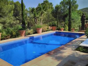 卡拉隆加Can Bet的种植着植物的院子中的一个蓝色的游泳池