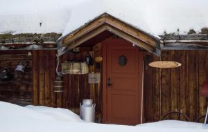 勒罗斯Pet Friendly Home In Røros With Kitchen的雪中带红门的小木屋