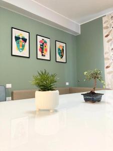 雷焦卡拉布里亚"Il Garibaldi" - Appartamento intero o stanze!的上面有两株盆栽植物的白色桌子
