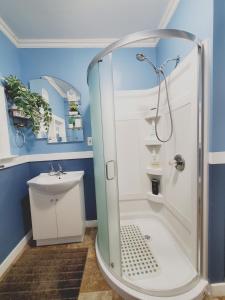 温尼伯Merj's Guest House in Wolesly的带淋浴和盥洗盆的浴室