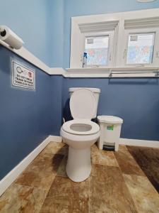 温尼伯Merj's Guest House in Wolesly的浴室设有白色卫生间和蓝色的墙壁。