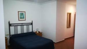 安特克拉科隆安特克拉酒店的一间卧室配有一张带蓝色毯子的床