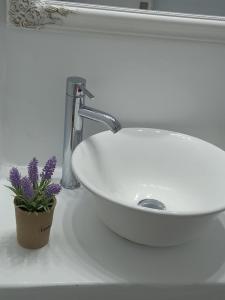 凯勒里瓦迪Blue Waves home Mykonos的白色浴室水槽,旁边是盆栽植物