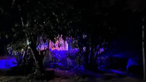 埃拉Freedom Camp Ella的享有喷泉的夜间美景,配有紫色灯