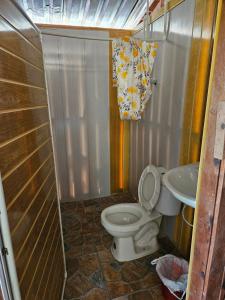 MesetasHostal La Cabaña的一间带卫生间和水槽的小浴室