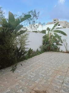 纳布勒Amazing villa next to the beach的白色墙壁旁的石制人行道,种植了植物