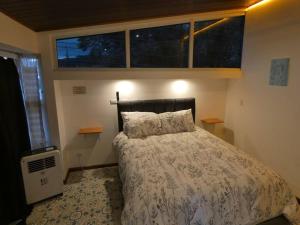 图里亚尔瓦Lilu Loft Turrialba的一间设有床铺的卧室,位于带窗户的房间内