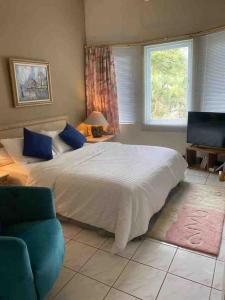 卡里塔LaGita Carita Villa的卧室配有一张白色大床和电视。