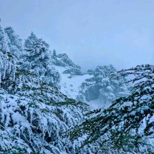 KetamaKetama كتامة的山坡上被雪覆盖,有树木