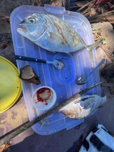 贝岛Appartement Melissa97- Bât4 Spacieux à Dzamandzar的装满鱼和一碗酱的塑料容器