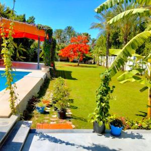 Qaryat ShākūshTwo pools four bedrooms private villa的种有盆栽植物的花园和一个游泳池
