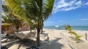 索里托斯Hospedaje & Casa Playa AURORA的海滩上的棕榈树和吊床