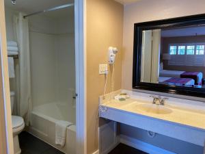 斯坦顿斯坦顿骑士酒店的一间带水槽、镜子和卫生间的浴室