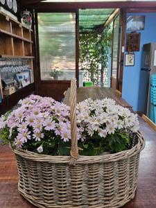 普罗基奥VILLA VILLACOLLE的坐在桌子上一篮子的鲜花
