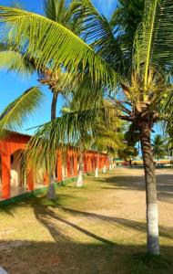 孔迪Pousada Praia Dos Coqueiros的一群棕榈树在一座建筑前