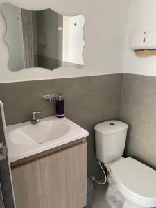 波帕扬Excelente nuevo Apartaestudio的一间带水槽、卫生间和镜子的浴室