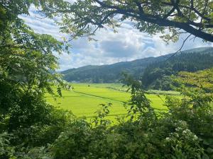 藤里町白神山地の麓でヤギのいるゲストハウス　あわじ商店的从树上欣赏到绿地的景色