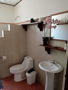拉克鲁斯Casa Amapola的一间带卫生间和水槽的浴室