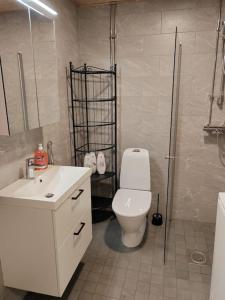 拉彭兰塔Upea yksiö ydinkeskustasta.的浴室配有白色卫生间和淋浴。