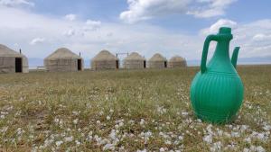 纳伦Yurt camp ALI-NUR at lake Song-Kol юрточный лагерь Али-Нур озеро Сон-Куль Сон-Куль Кыргызстан Нарын Kyrgyzstan Naryn的绿花瓶,坐在田野中间
