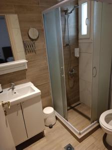 拉里萨迪瑟尼斯酒店的带淋浴、盥洗盆和卫生间的浴室