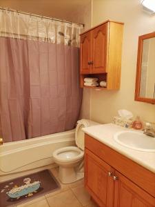 温哥华Llt Fraser HomeAway的一间带卫生间和水槽的浴室