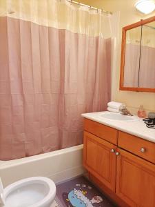 温哥华Llt Fraser HomeAway的浴室配有卫生间、盥洗盆和淋浴。