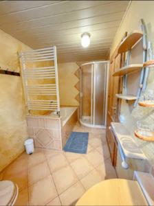 巴特尚道Ferienhaus Rudolph的带淋浴和卫生间的小浴室