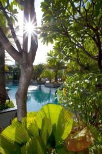 班加罗尔班加罗尔MG路凯悦中心酒店的享有棕榈树游泳池的景色