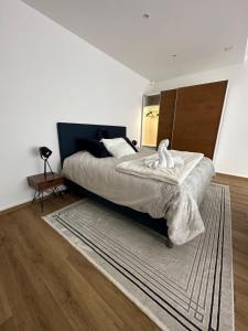日内瓦Magnificent apartment, Geneva Center, Geneva Lake的一间卧室配有一张大床和地毯。