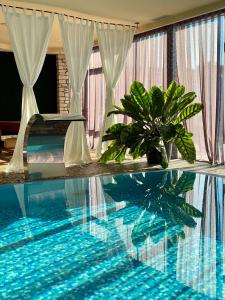 里加Royal SPA & Hotel Resort的室内植物游泳池