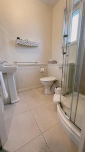 戈尔韦阿东酒店的一间带卫生间和玻璃淋浴间的浴室