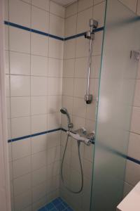 图尔库Hesehotelli Turku Linja-autoasema的浴室内带软管的淋浴