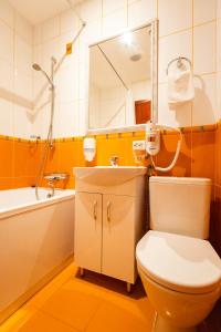 德鲁斯基宁凯Hotel Medūna的一间带卫生间、水槽和镜子的浴室