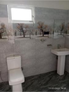 韦利格默The White House的浴室配有白色卫生间和盥洗盆。