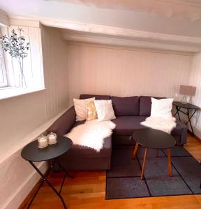 斯塔万格Central Economic Stavanger Kongsteinsgata的客厅配有沙发和2张桌子