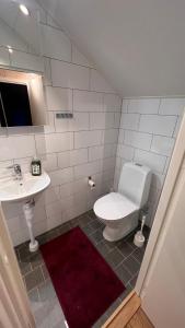 萨伦Perfect winterhouse in Sälen的一间带卫生间和水槽的浴室